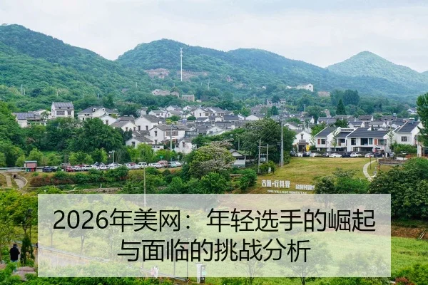 nian-mei-wang-nian-qing-xuan-shou-de-jue-qi-yu-mian-lin-de-tiao-zhan-fen-xi-2-230.jpg