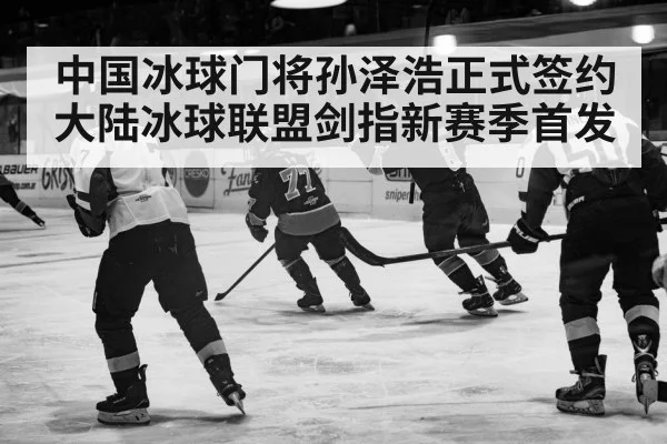 ice hockey action
